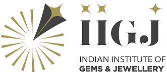 IIGJ logo